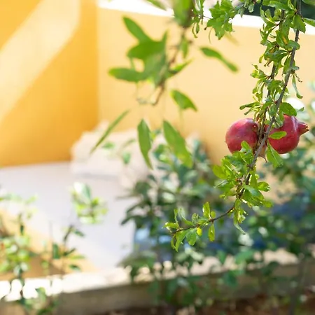 Marilia Lassi Lassi (Kefalonia)