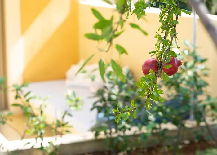Marilia Lassi Lassi (Kefalonia)